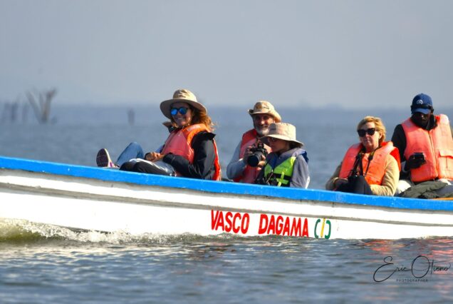 tourists-at-vasco-da-gama