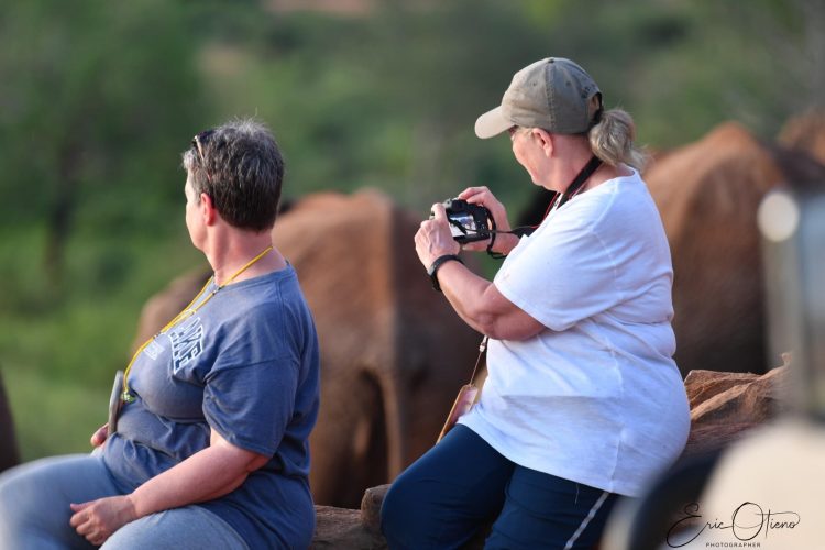tourists-observing-elephants