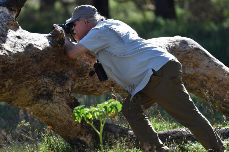 tourist-taking-wildlife-pic